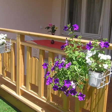 Apartment Mirjana Fazana