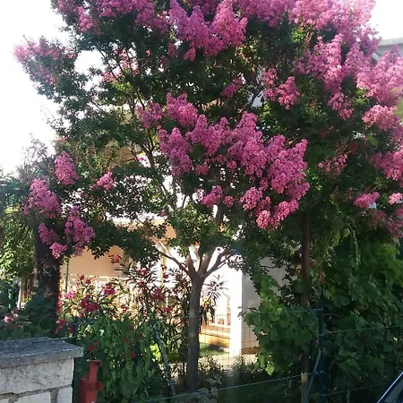 Διαμέρισμα Mirjana *