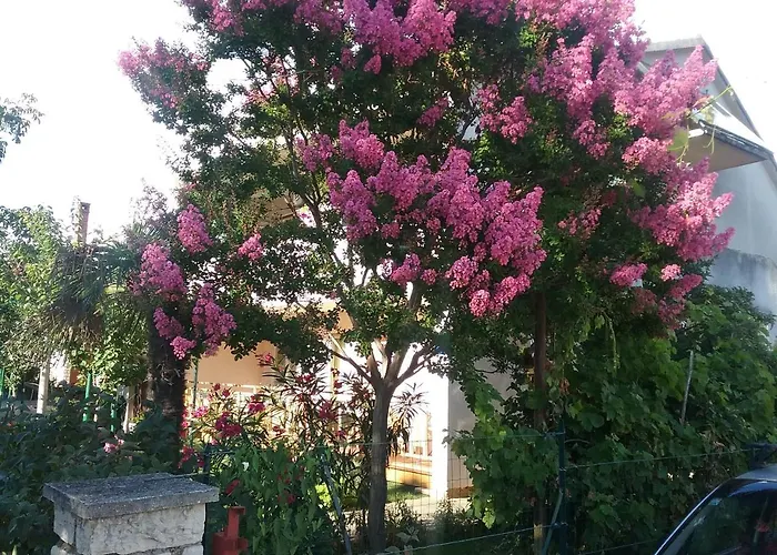 Διαμέρισμα Mirjana *